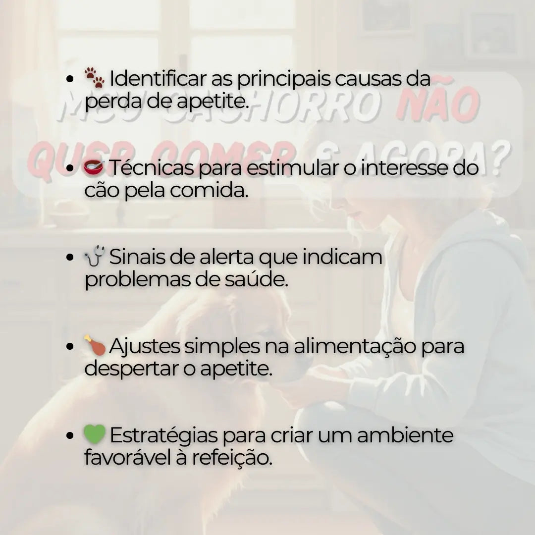 Adestramento de Cães Meu Cachorro não Quer Comer e Agora?