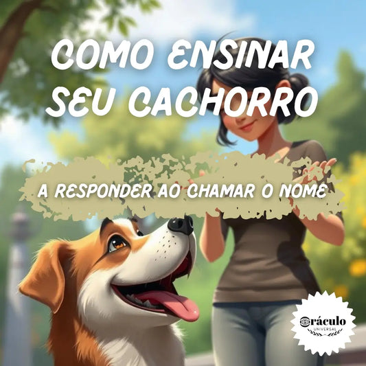 Como Ensinar seu Cachorro a Responder ao Chamar o Nome
