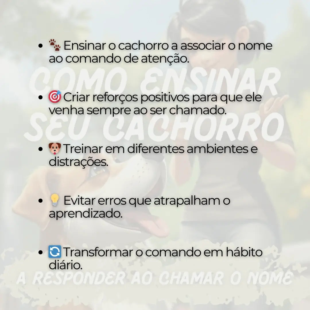 Como Ensinar seu Cachorro a Responder ao Chamar o Nome