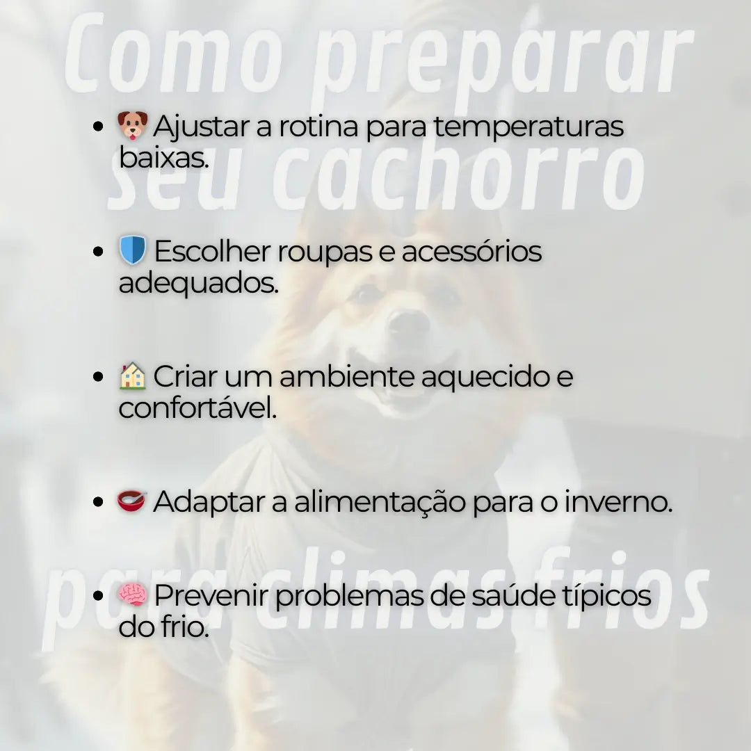 Como Preparar seu Cachorro Para Climas Frios