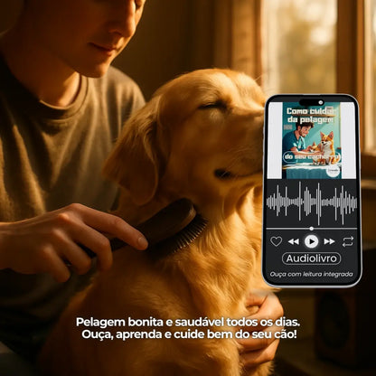 Adestramento de Cães Como Cuidar da Pelagem do seu Cachorro