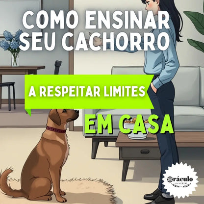 Adestramento de Cães Como Ensinar seu Cachorro a Respeitar Limites em Casa