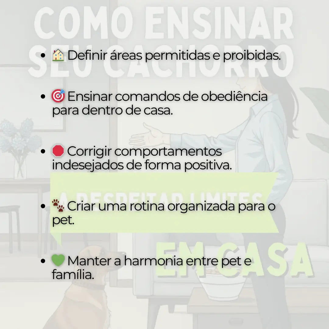 Adestramento de Cães Como Ensinar seu Cachorro a Respeitar Limites em Casa