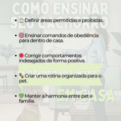 Adestramento de Cães Como Ensinar seu Cachorro a Respeitar Limites em Casa