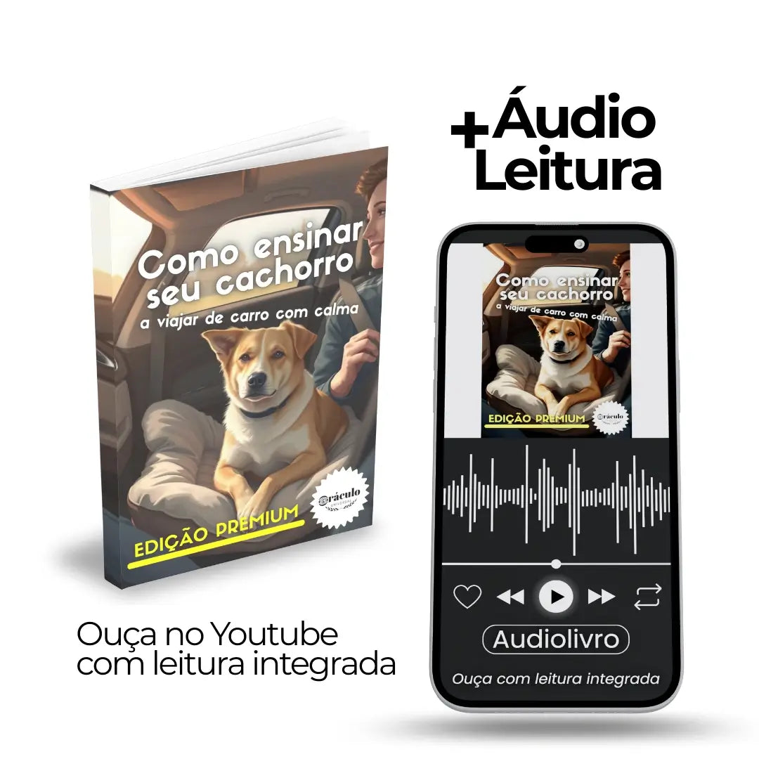 Adestramento de Cães Como Ensinar seu Cachorro a Viajar de Carro com Calma