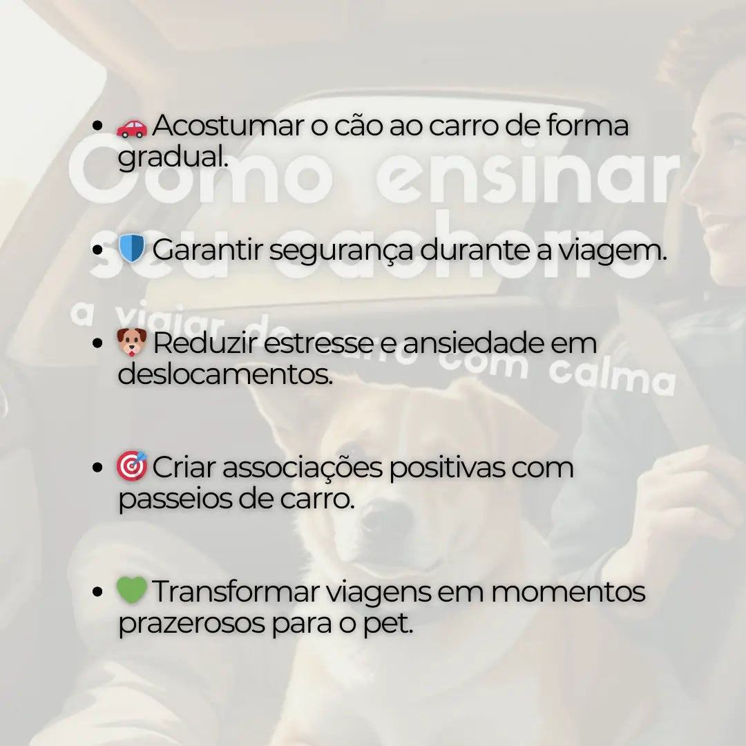 Adestramento de Cães Como Ensinar seu Cachorro a Viajar de Carro com Calma