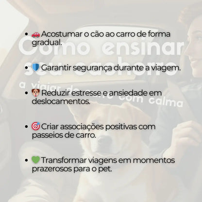 Adestramento de Cães Como Ensinar seu Cachorro a Viajar de Carro com Calma