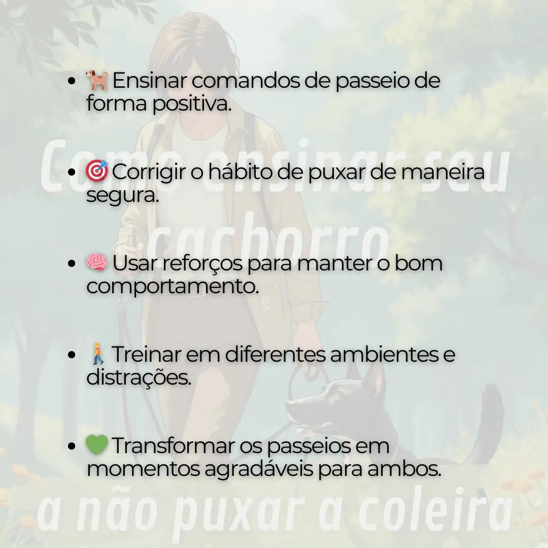 Adestramento de Cães Como Ensinar seu Cachorro a não Puxar a Coleira
