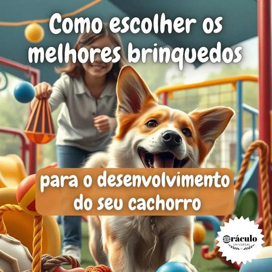 Adestramento de Cães Como Escolher os Melhores Brinquedos Para o Desenvolvimento do seu Cachorro