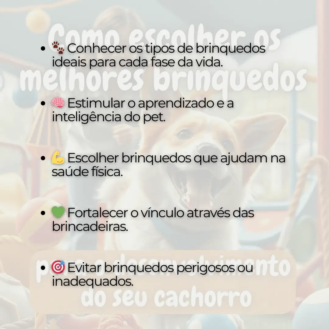 Adestramento de Cães Como Escolher os Melhores Brinquedos Para o Desenvolvimento do seu Cachorro