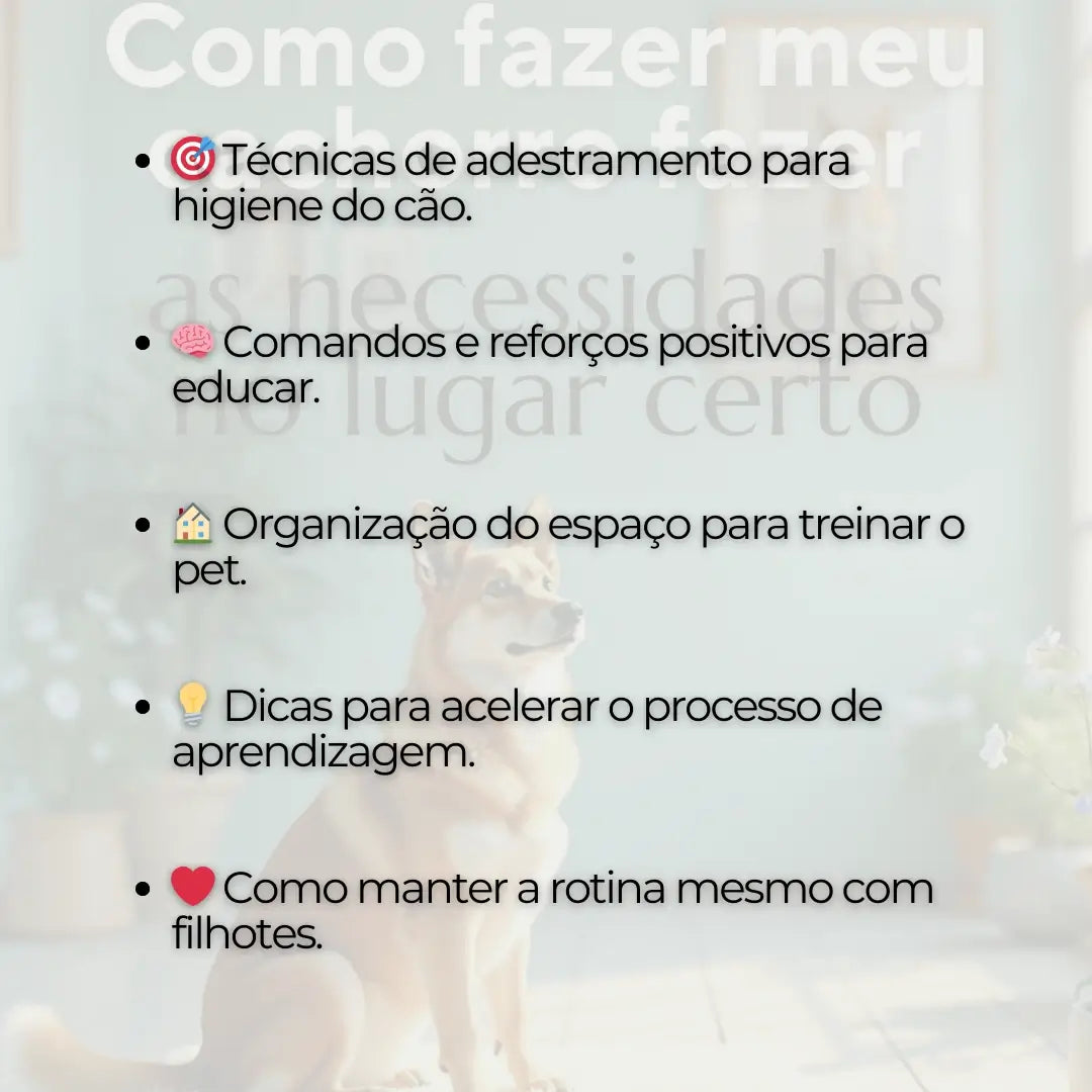 Adestramento de Cães Como Fazer meu Cachorro Fazer as Necessidades no Lugar Certo