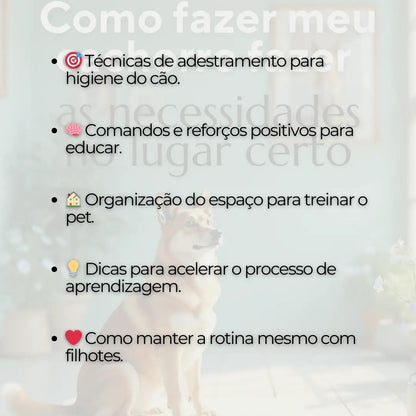 Adestramento de Cães Como Fazer meu Cachorro Fazer as Necessidades no Lugar Certo