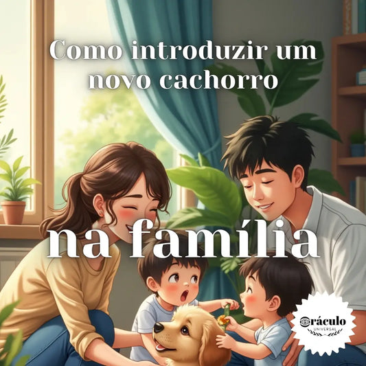Adestramento de Cães Como Introduzir um Novo Cachorro na Familia