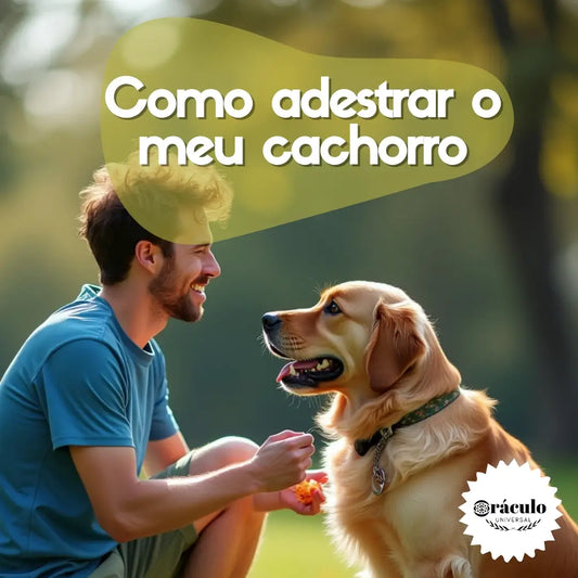 Adestramento de Cães Como Adestrar o meu Cachorro