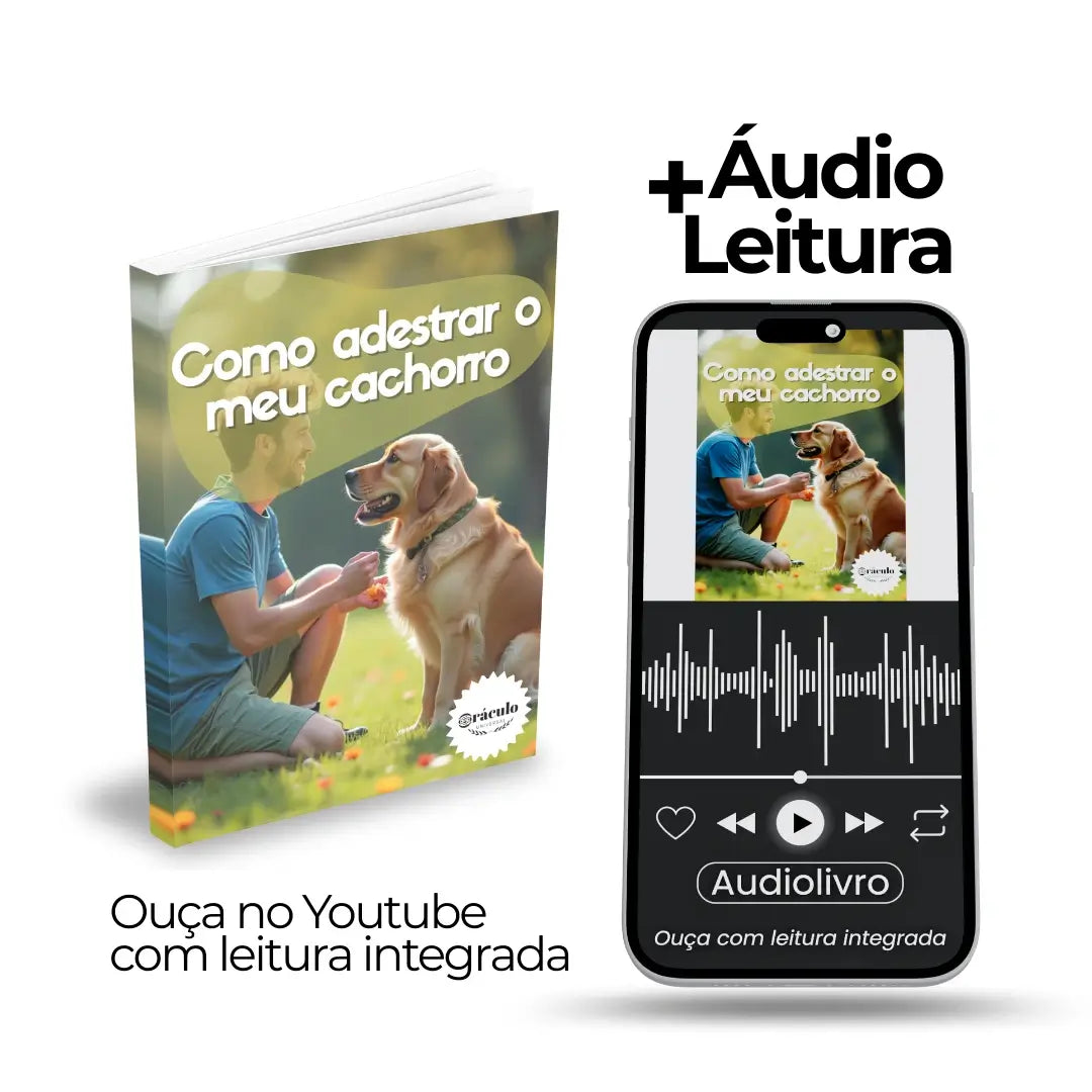 Adestramento de Cães Como Adestrar o meu Cachorro