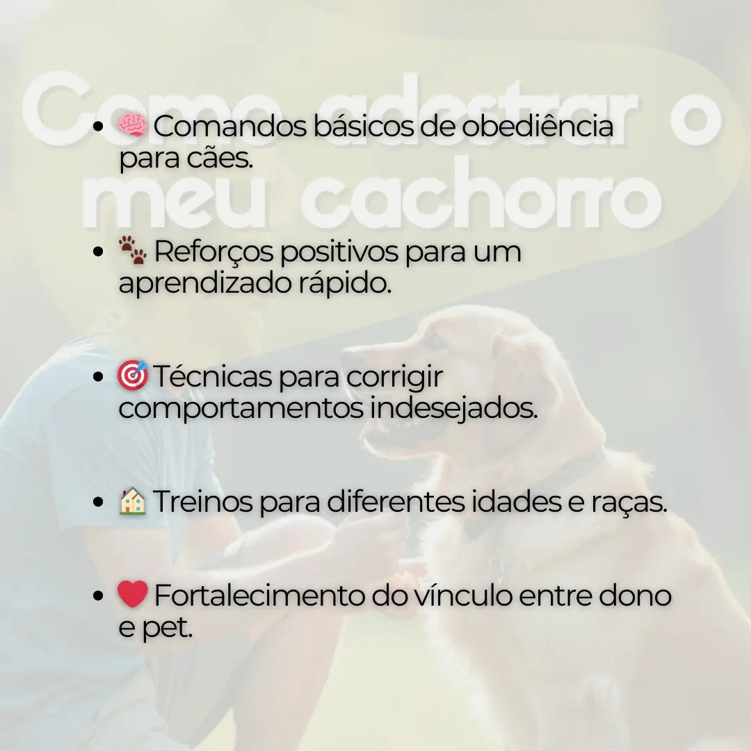 Adestramento de Cães Como Adestrar o meu Cachorro
