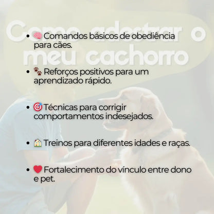 Adestramento de Cães Como Adestrar o meu Cachorro