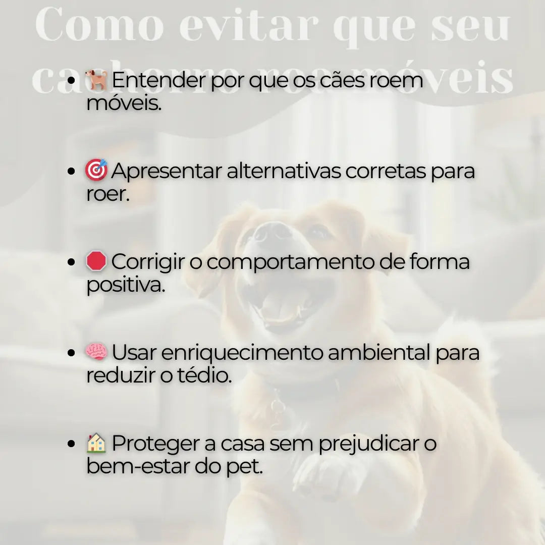 Adestramento de Cães Como Evitar que seu Cachorro roa Móveis