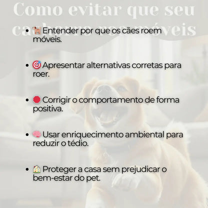 Adestramento de Cães Como Evitar que seu Cachorro roa Móveis