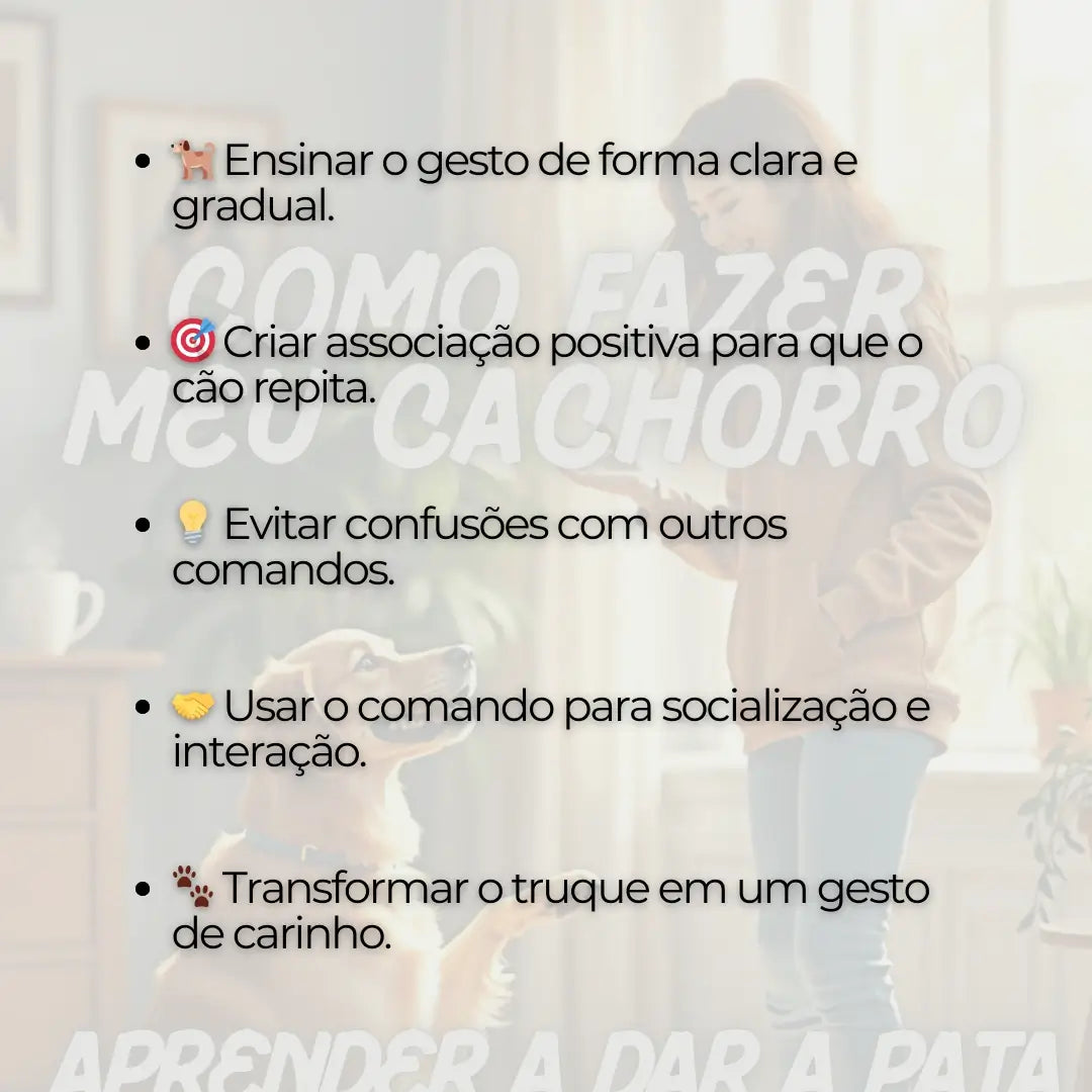 Adestramento de Cães Como Fazer meu Cachorro Aprender a dar a Pata