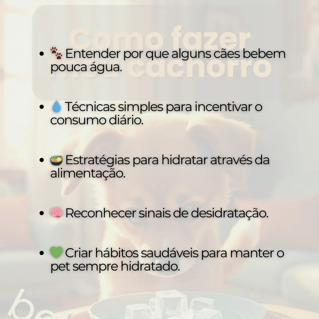 Adestramento de Cães Como Fazer meu Cachorro Beber Água