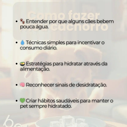 Adestramento de Cães Como Fazer meu Cachorro Beber Água