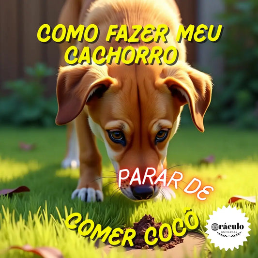 Adestramento de Cães: Como Fazer meu Cachorro Parar de Comer Cocô