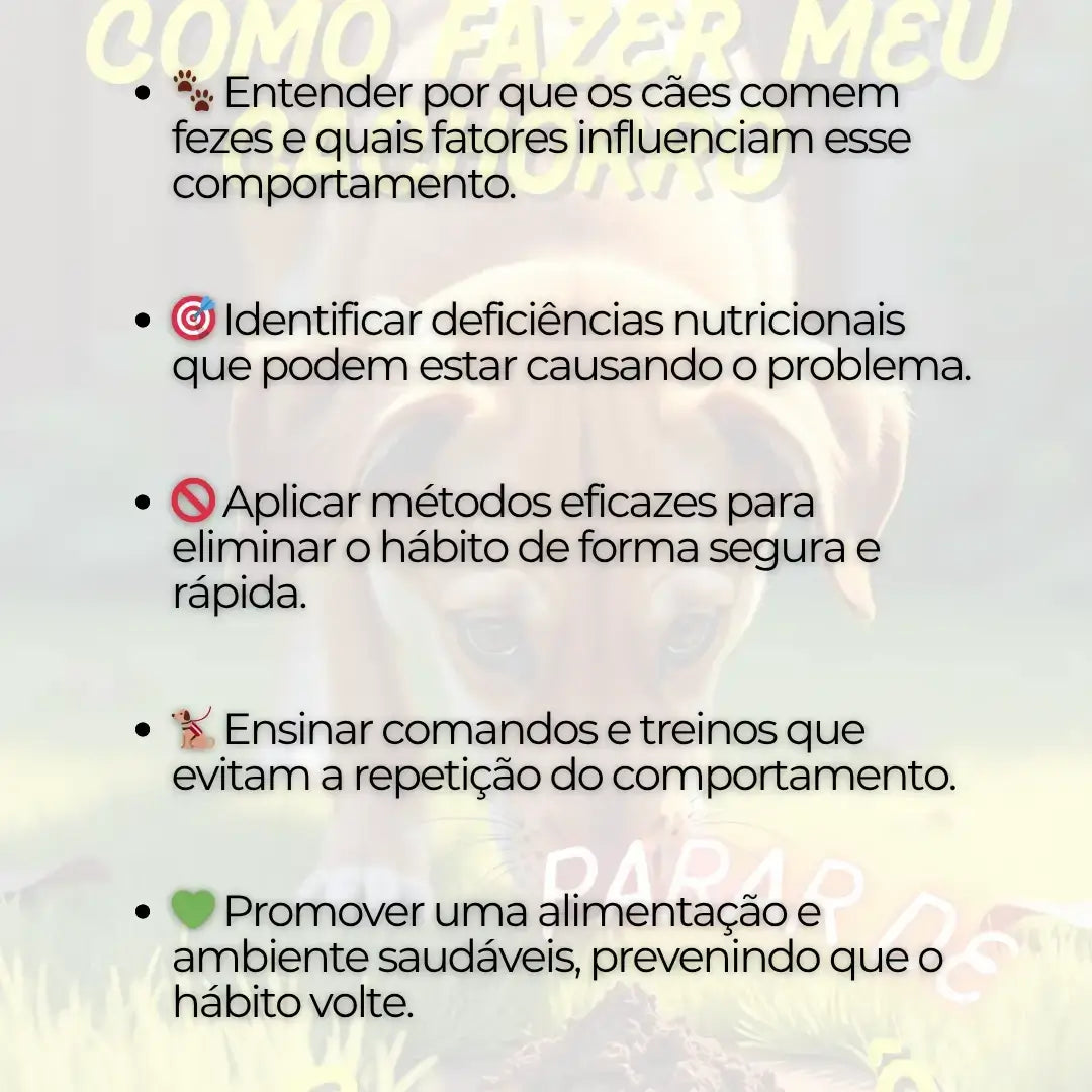Adestramento de Cães: Como Fazer meu Cachorro Parar de Comer Cocô
