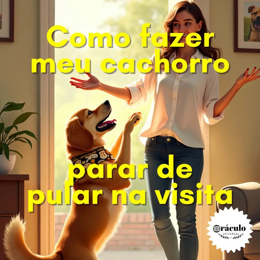 Adestramento de Cães Como Fazer meu Cachorro Parar de Pular na Visita