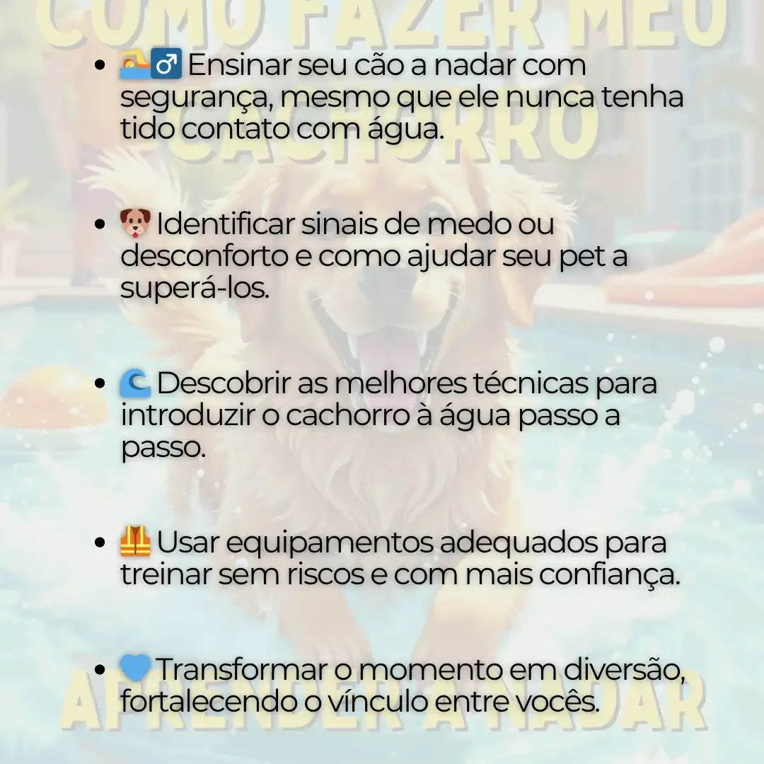 Adestramento de Cães: Como Ensinar meu Cachorro a Nadar