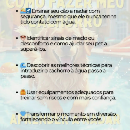 Adestramento de Cães: Como Ensinar meu Cachorro a Nadar