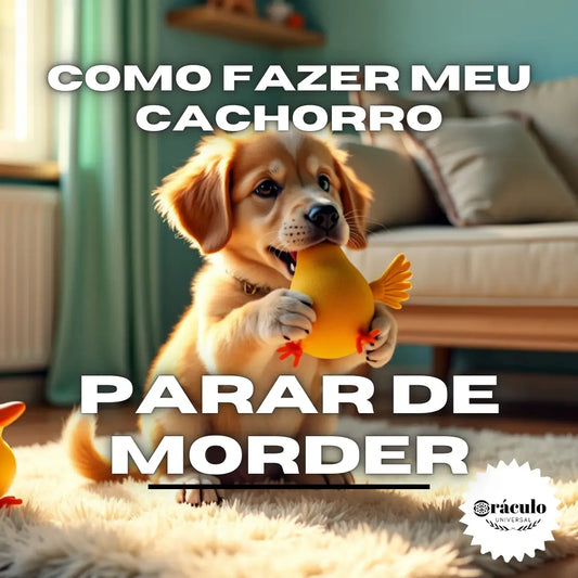 Adestramento de Cães Como Fazer meu Cachorro Parar de Morder