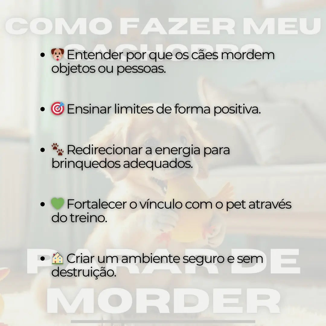 Adestramento de Cães Como Fazer meu Cachorro Parar de Morder