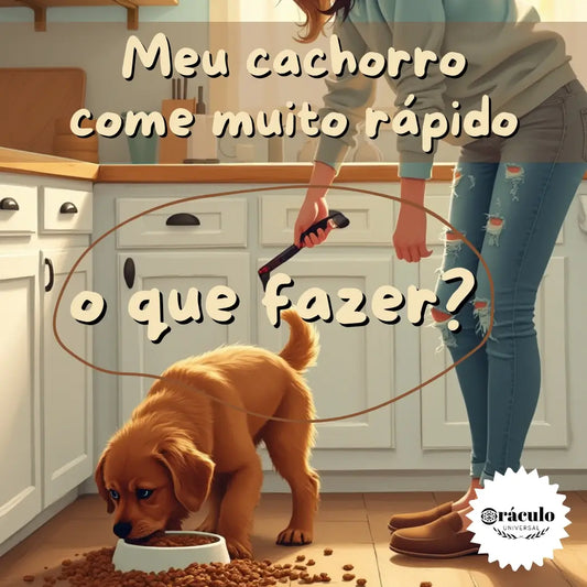 Adestramento de Cães Meu Cachorro Come Muito Rápido, O Que Fazer?