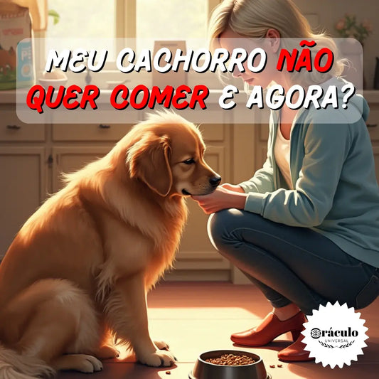 Adestramento de Cães Meu Cachorro não Quer Comer e Agora?