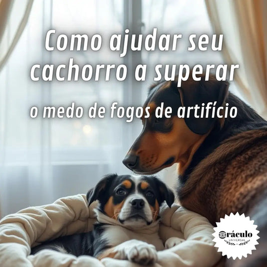 Como Ajudar seu Cachorro a Superar o Medo de Fogos de Artifício