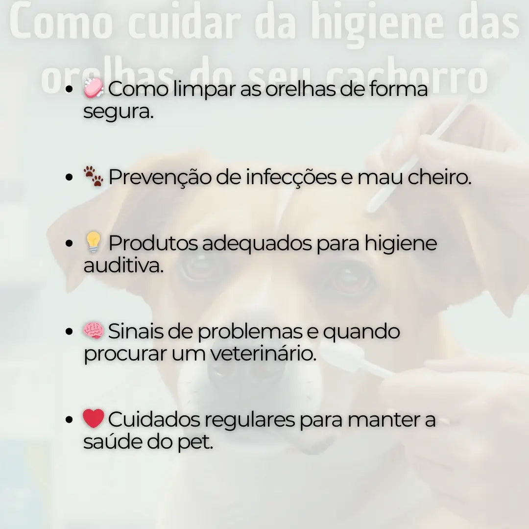 Adestramento de Cães Como Cuidar da Higiene do Ouvido do seu Cachorro