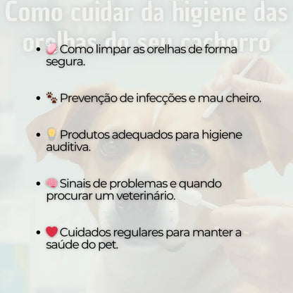 Adestramento de Cães Como Cuidar da Higiene do Ouvido do seu Cachorro