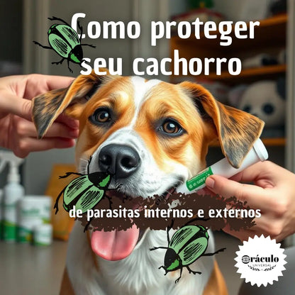 Como Proteger seu Cachorro de Pulgas e Carrapatos