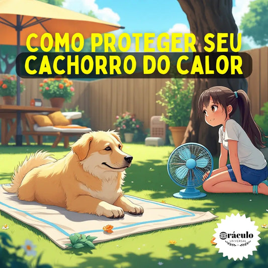 Como Proteger seu Cachorro do Calor: Cuidados em Dias Quentes