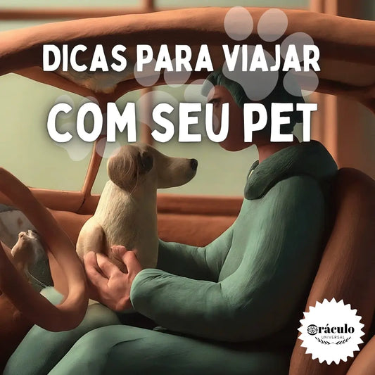 Dicas Para Viajar com seu pet