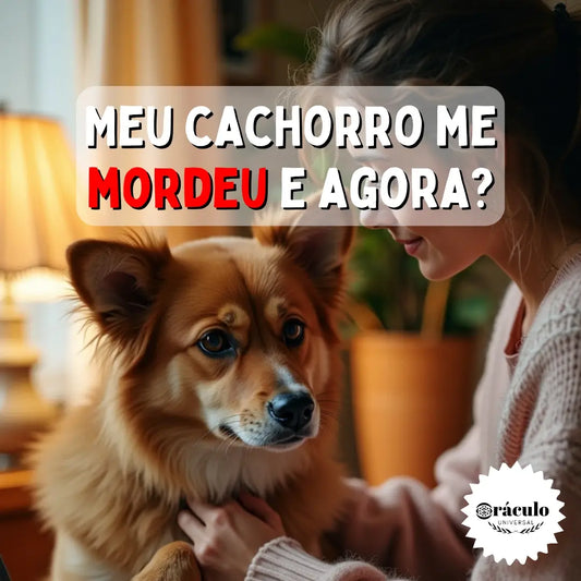 Meu Cachorro me Mordeu e Agora?